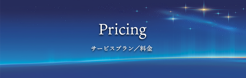 Pricing